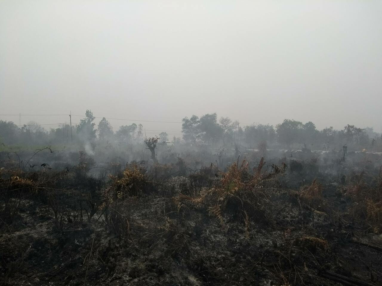 Assessing air quality impacts of peatland fire smoke in Indonesia