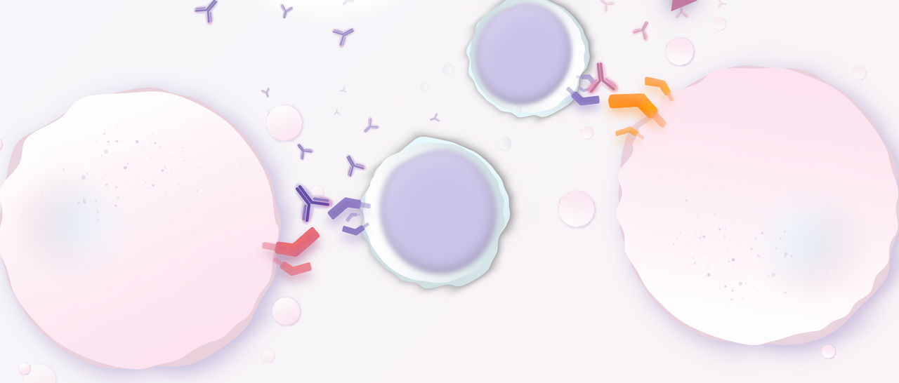 Immunotherapy in Myelodysplastic Neoplasms