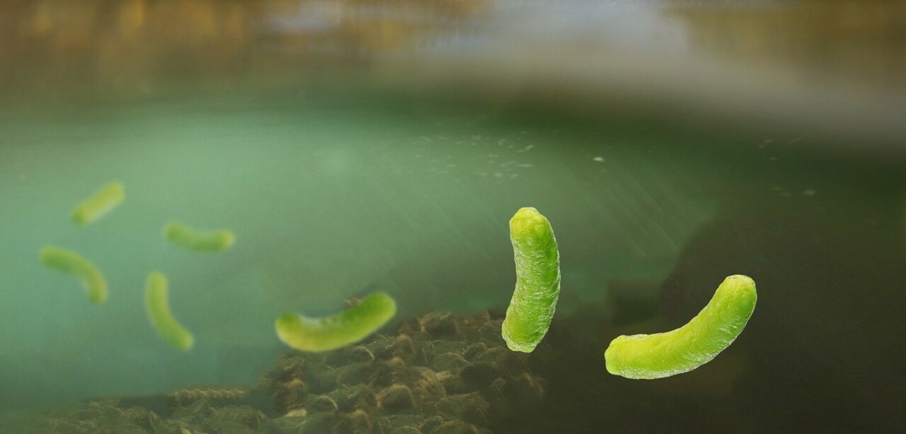 Collaborative science bridges tiny streams and massive rivers, by connecting molecular processes to macroecological patterns