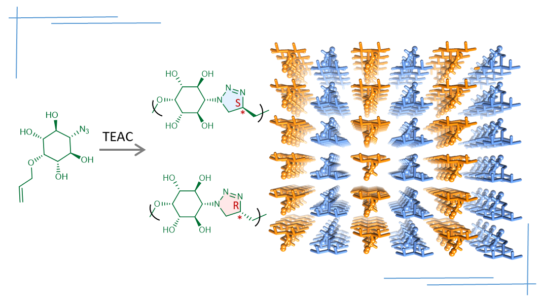 A Perfect Marriage of Enantiopure Polymers of Opposite Chirality in Single Crystals