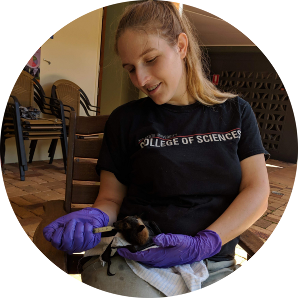 Go to the profile of Jacqueline Ansel