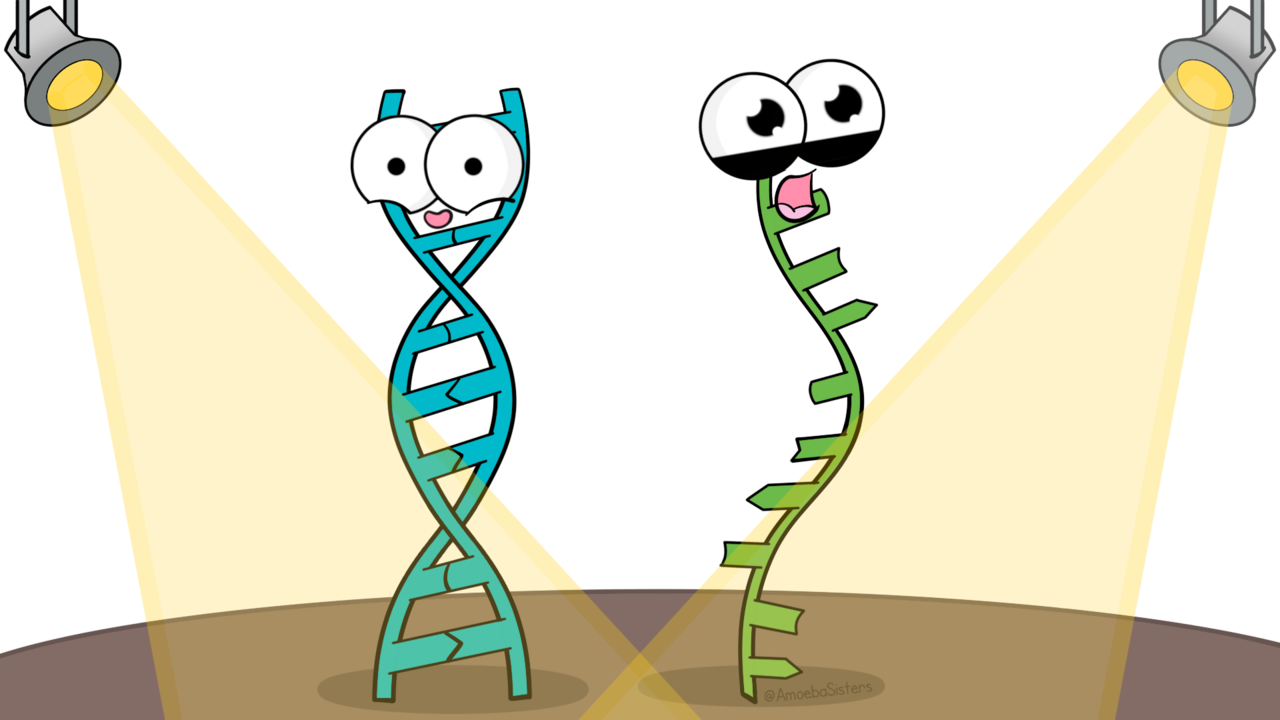 And they lived happily ever after - a microbial fairy tale of DNA and RNA