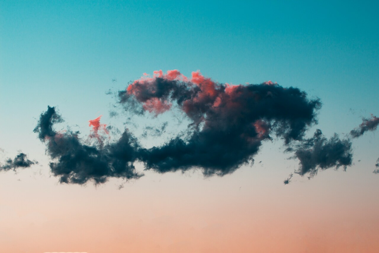 Excited to Be Part of WildHub – Let's Collaborate on Wildlife Conservation!