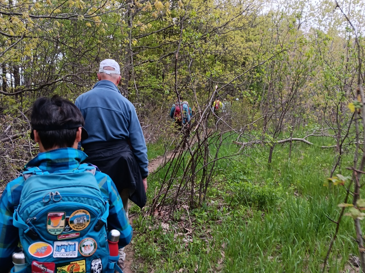 Behind the Paper: Studying Nature Groups