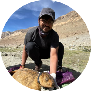 Go to the profile of Prasad Tonde