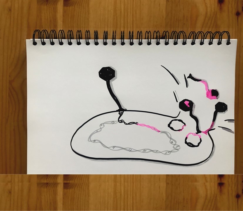 Breaking bad of prophages during lab evolution - from strange observation to revelation