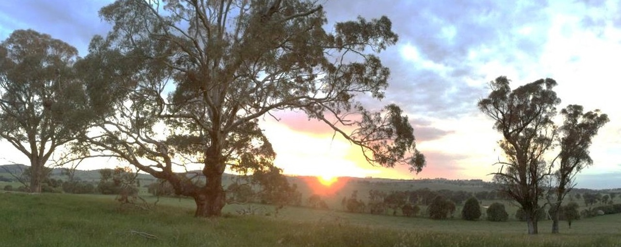 How small data can be turned to big rewards for managing threats to save species