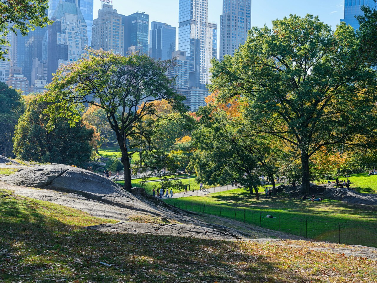 A Walk in the Park? Not for Everyone: Addressing Inequality in Access to Social, Environmental, and Health Amenities in US Urban Parks