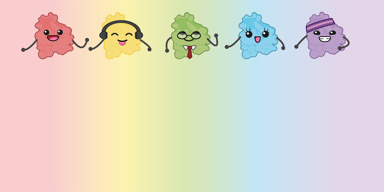 Same Same but Different: Exploring the Rainbow of TP53 Mutations