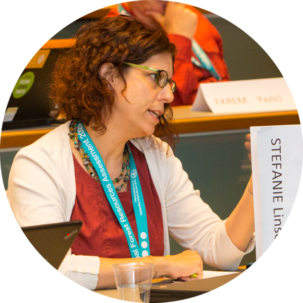 Go to the profile of Stefanie Linser