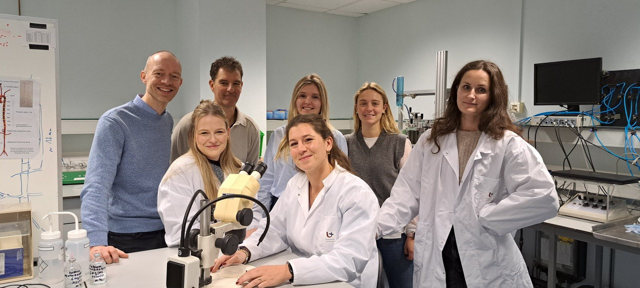 Discovery of ERBB4 activating molecules that could become a new treatment for heart failure