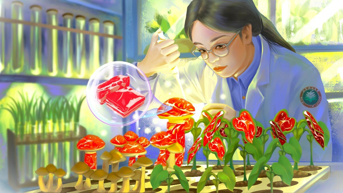 Growing meat on autoclaved vegetables 