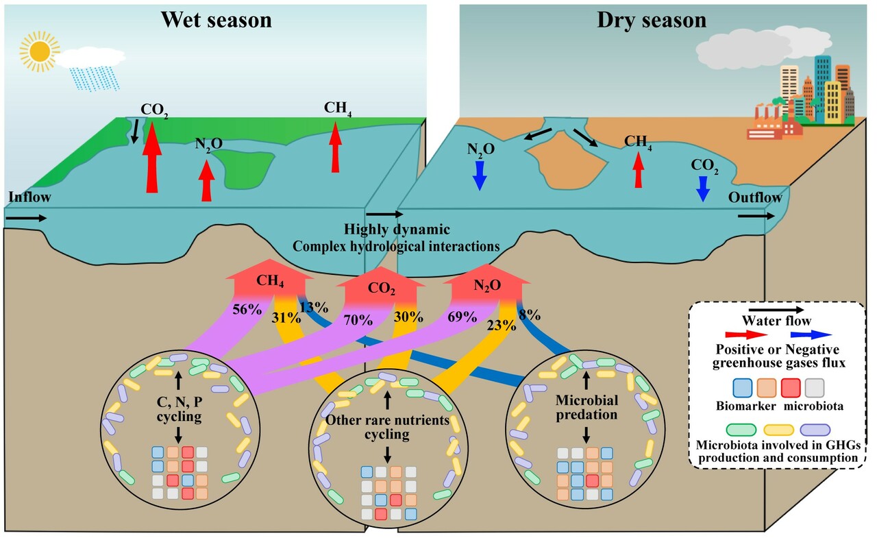 Diverse sediment microbiota shape greenhouse gases emission variation in river-lake ecosystems