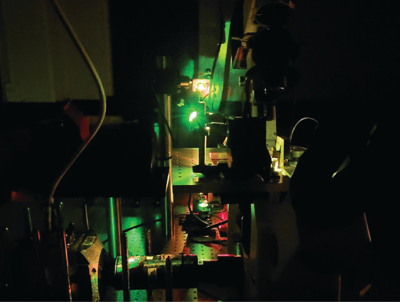 Through DNA and Beyond: A Postdoc Journey of Collaboration and Discovery