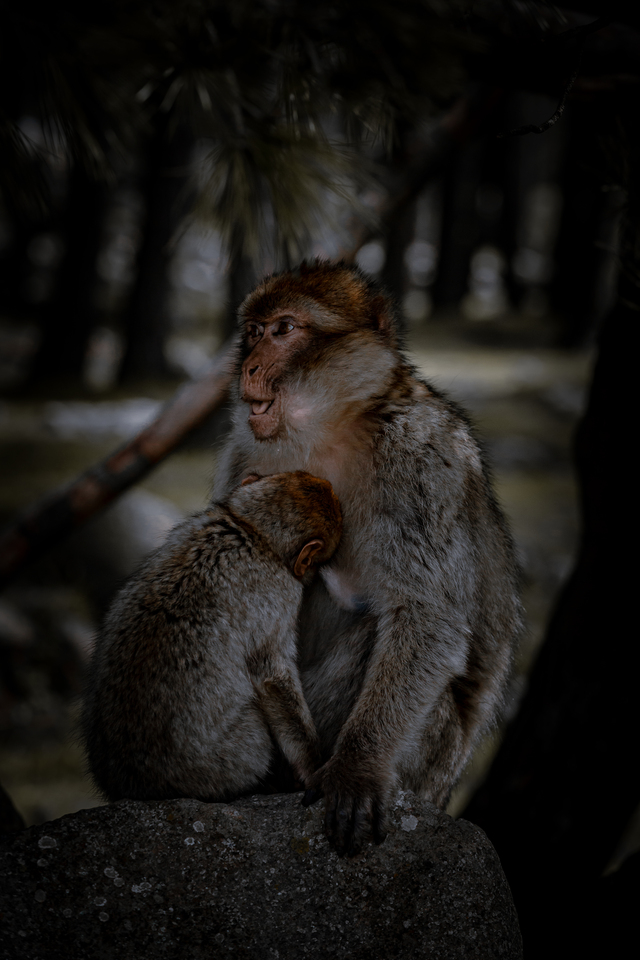 Hello! My name is Majda