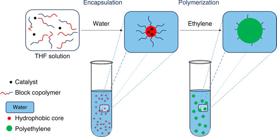 Journal Club | Ethylene polymerisation in aqueous media