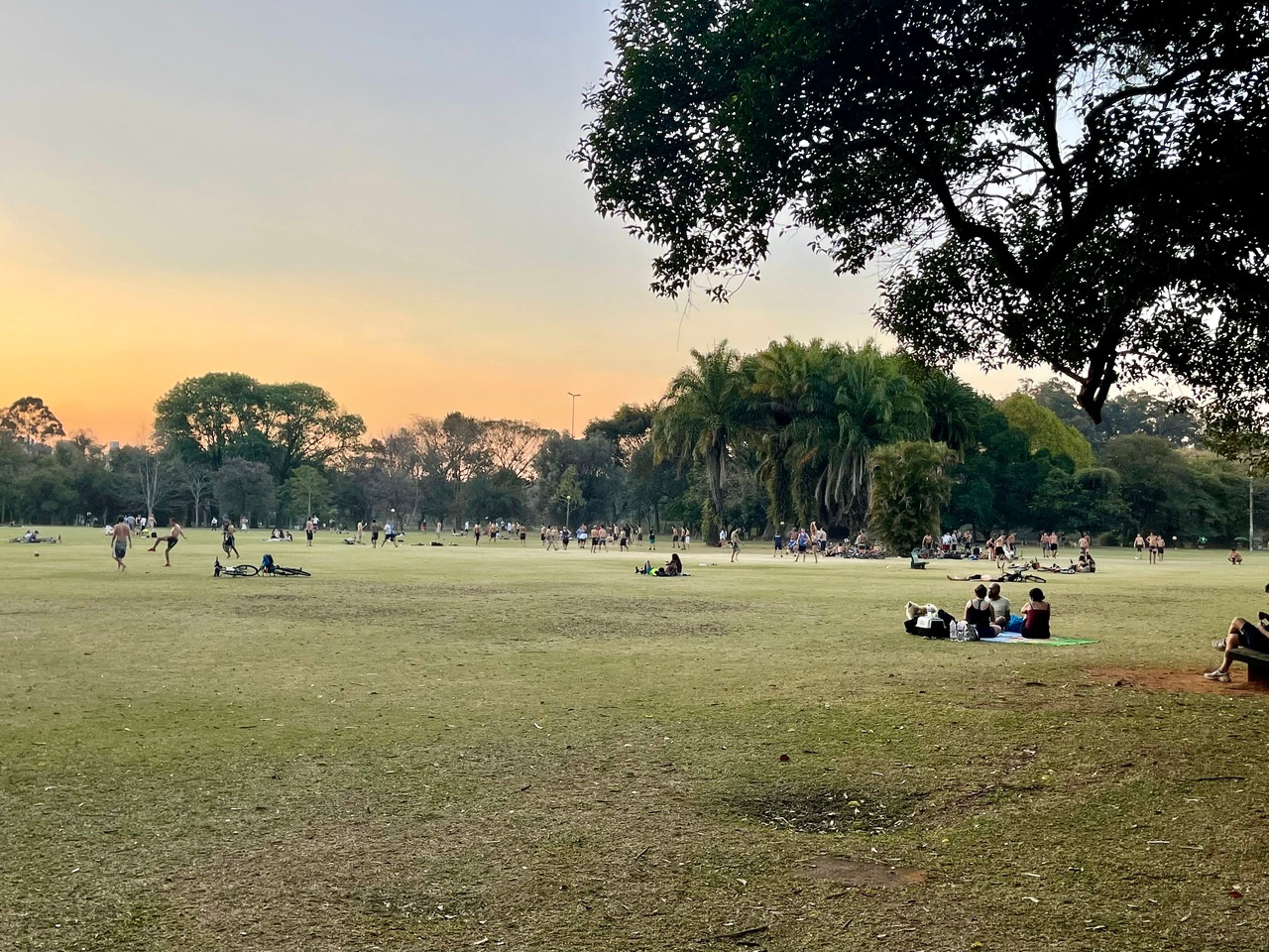 Understanding the Drivers of Green Space Availability in Latin AmericanCities