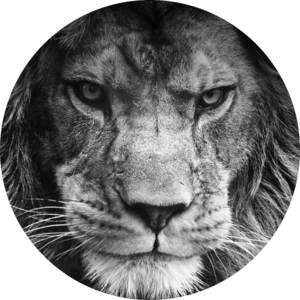 Go to the profile of Hector Verdin