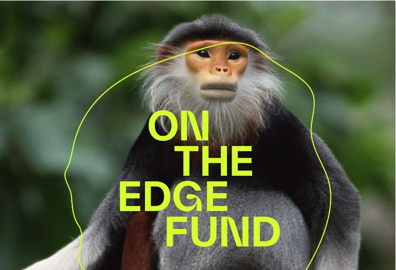 On the EDGE Fund - just launched!
