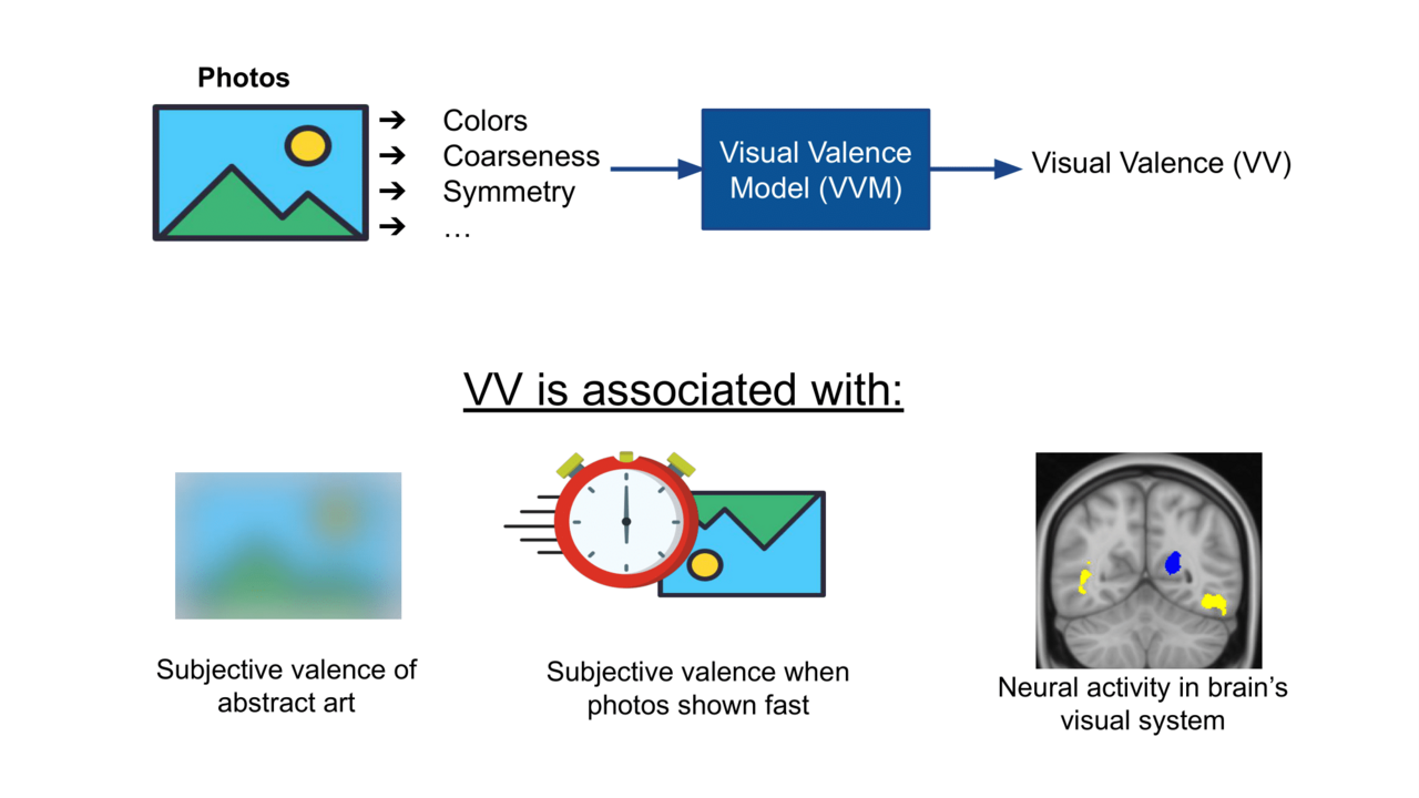 The Visual Brain Is Tuned to Having Feelings About the World