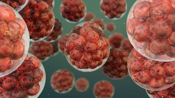 Top 100 of 2024 in Cell and Molecular Biology | Scientific Reports 