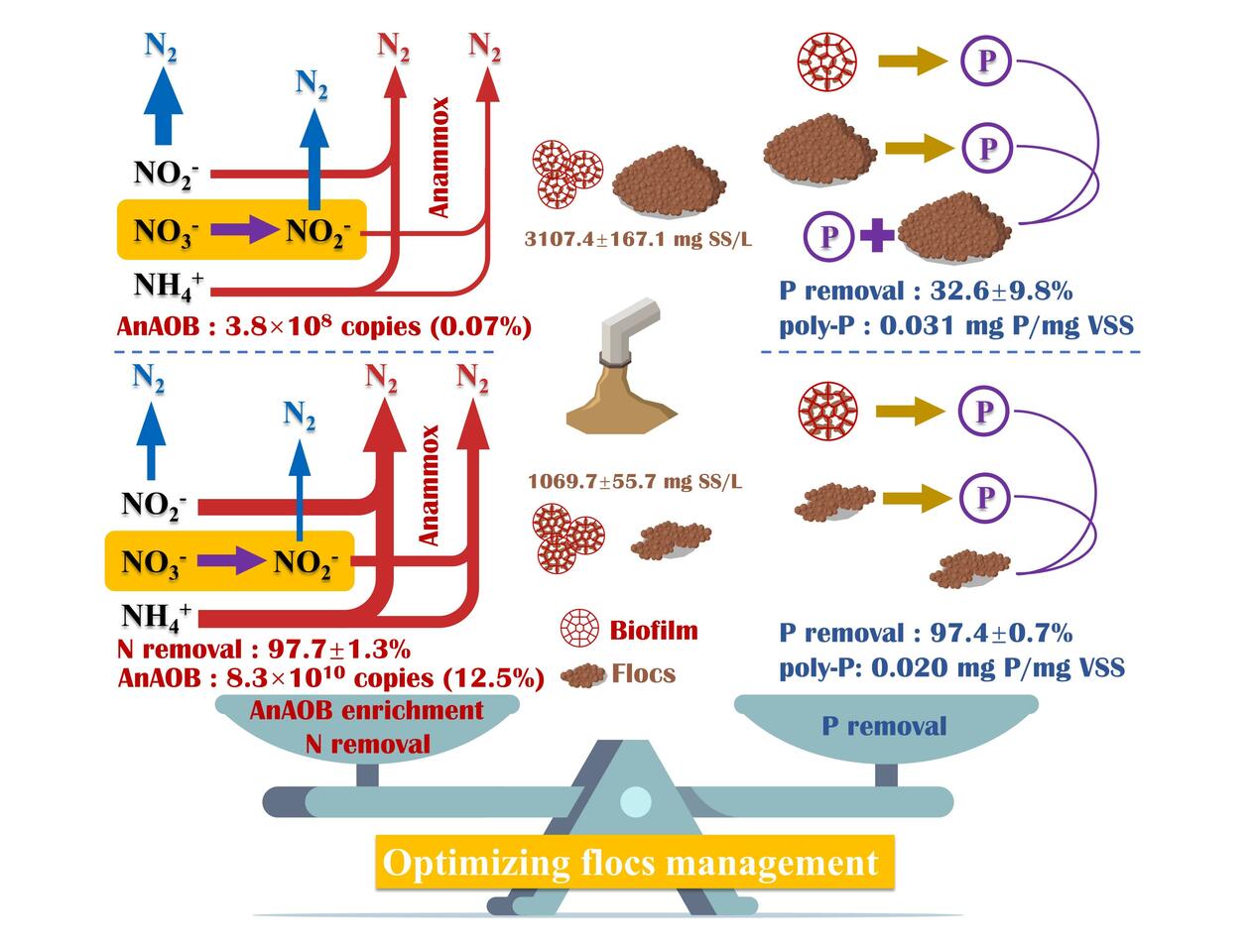 New breakthrough in sustainable ultra-efficient treatment technology for mainstream municipal wastewater