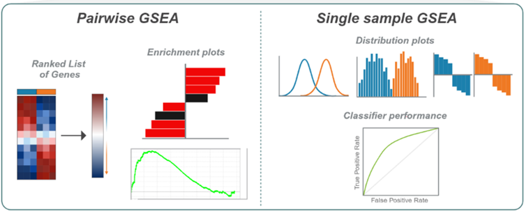 dualGSEA: A New Tool for Unlocking Insights from Transcriptomic Data