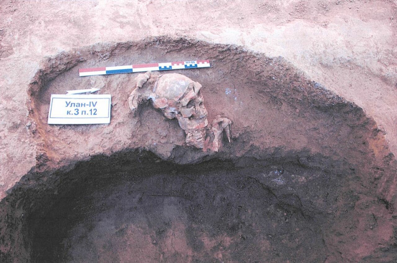 Indo-European Origins: A new Solution to an old Puzzle