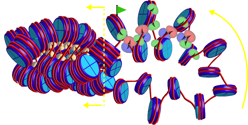 Guided Search: How Transcription Factors Navigate the Genome to Change Cell Identity