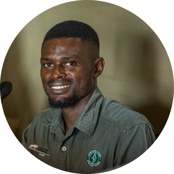 Go to the profile of Paul chinyama