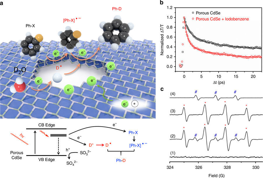Journal Club | A General Strategy to Deuterium Labeling