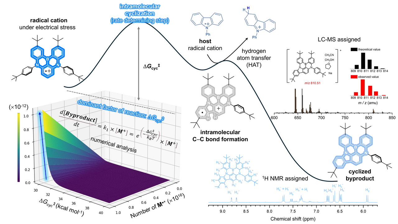 Behind the paper: The degradation mechanism of multi-resonance thermally activated delayed fluorescence materials