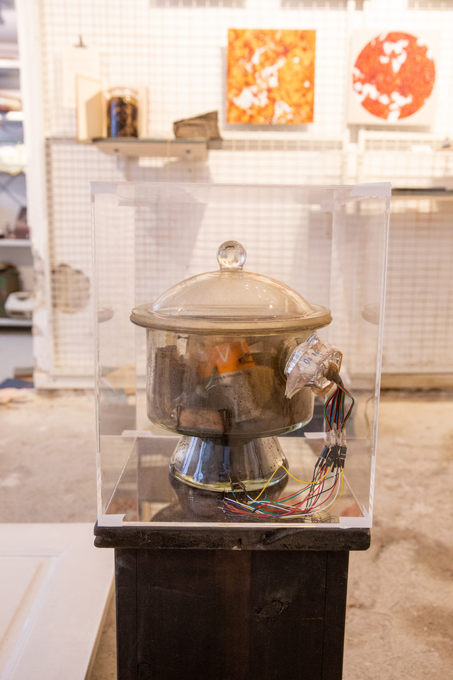 More worm stories: The promises and perils of a living installation