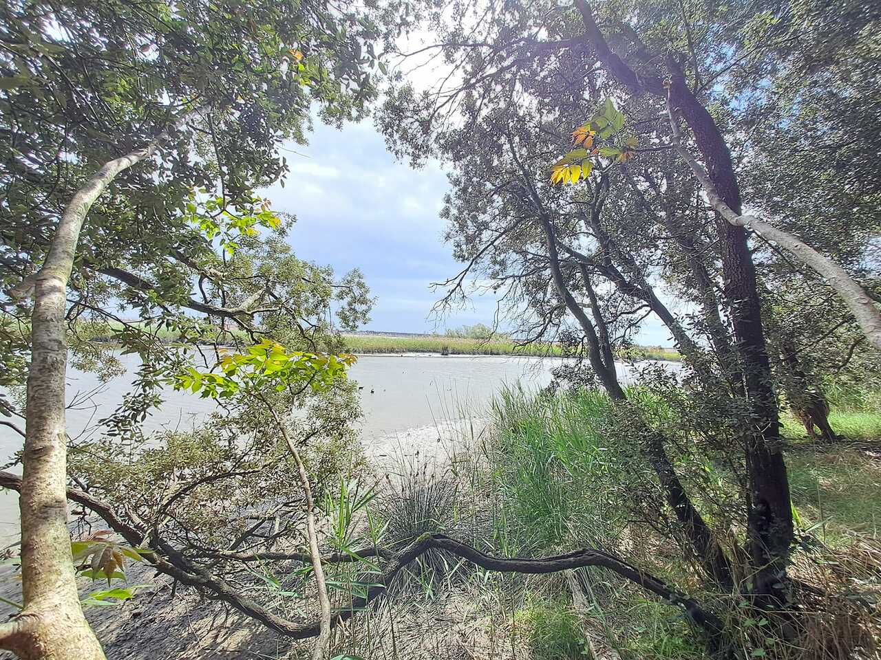 Restoring Nature: Europe’s Commitment to Ecosystems and Biodiversity 