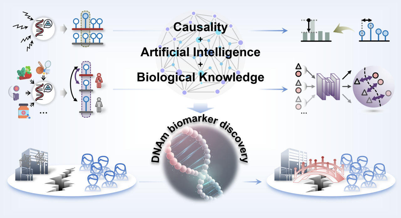 Causality-driven candidate identification for reliable DNA methylation biomarker discovery