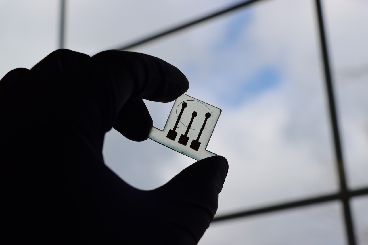 Tackling Milk Fever: Revolutionizing Dairy Health with 3D-Printed Sensors