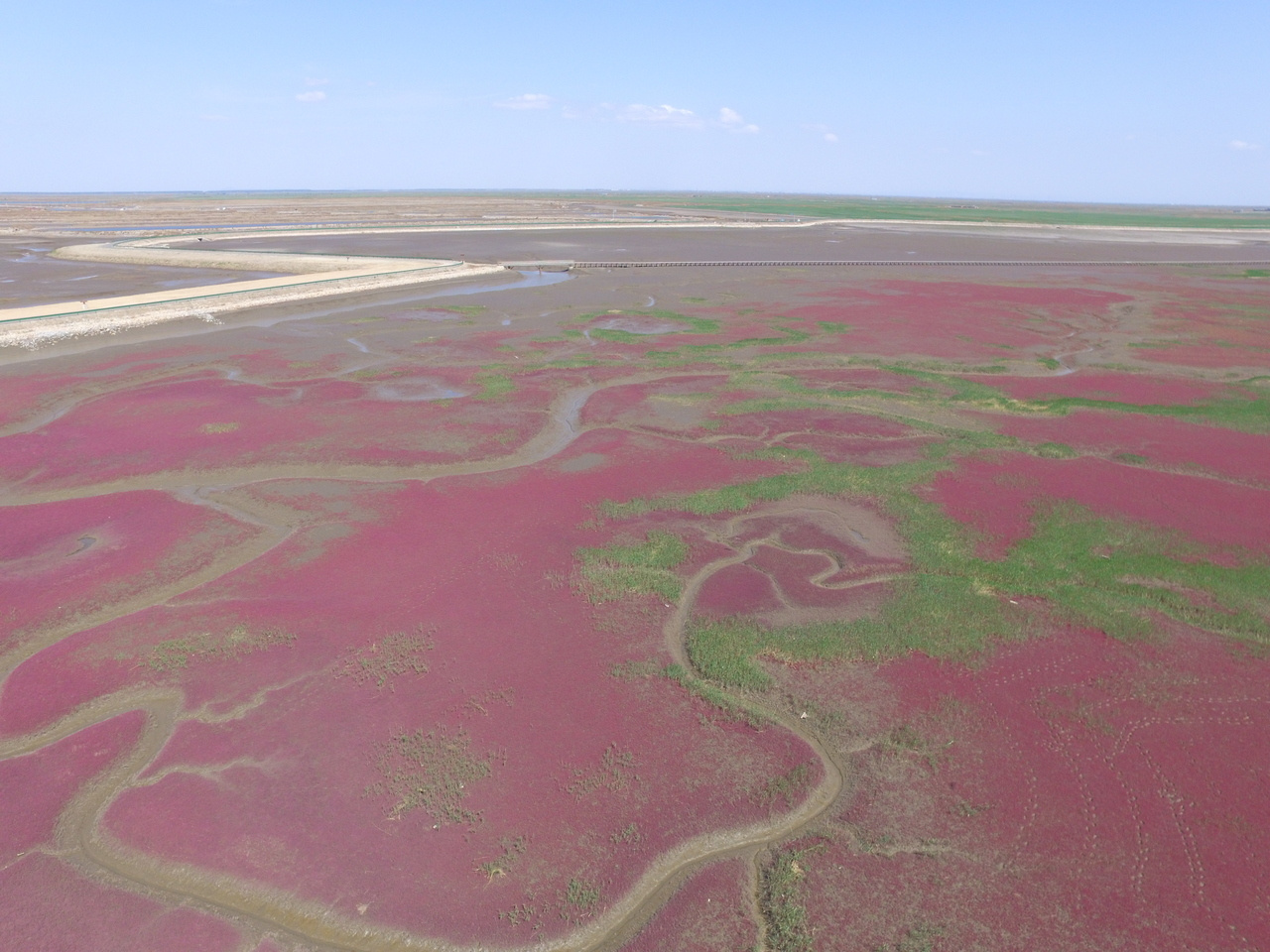 Unlocking coastal restoration success: The urgent need for stronger technical standards in rapidly developing countries