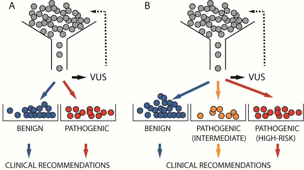 Emerging issue in cancer genetics: counseling carriers of reduced penetrance pathogenic variants