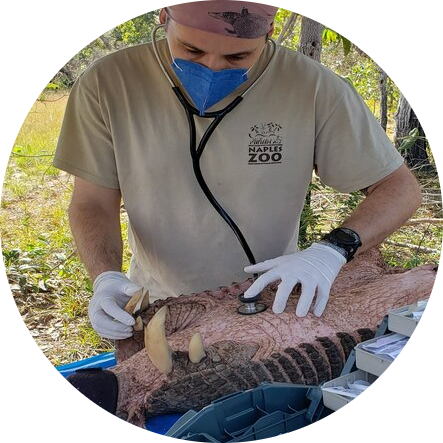 Go to the profile of Danilo Kluyber