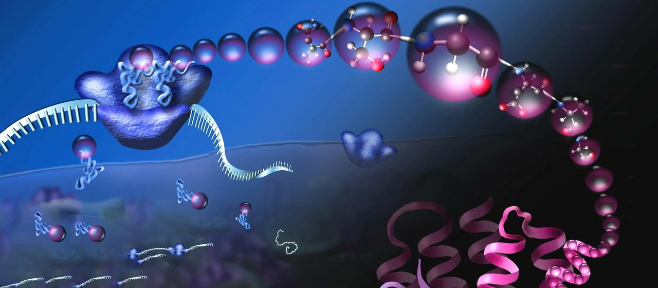 An insightful journey: unraveling the cellular impact of an antitumoral drug to reveal its broad antiviral activity