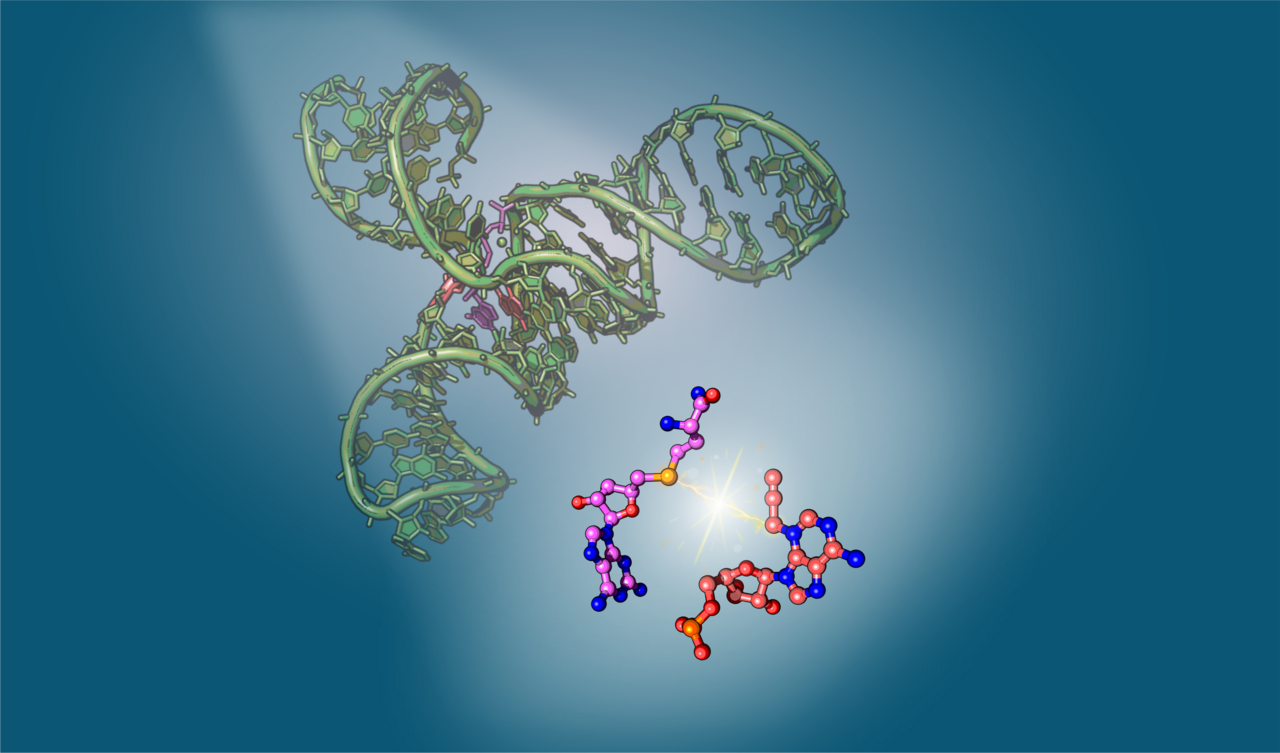 Behind the scenes — from construct design to SAMURI 3D structures