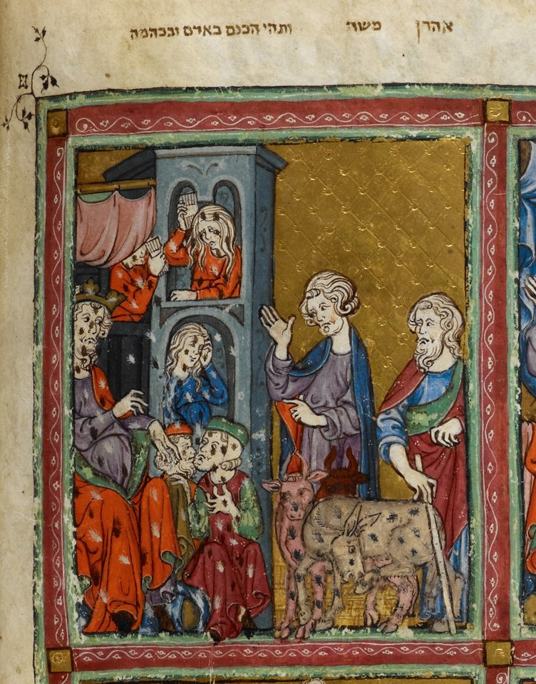 Plague and human ectoparasites: a new model for an old disease