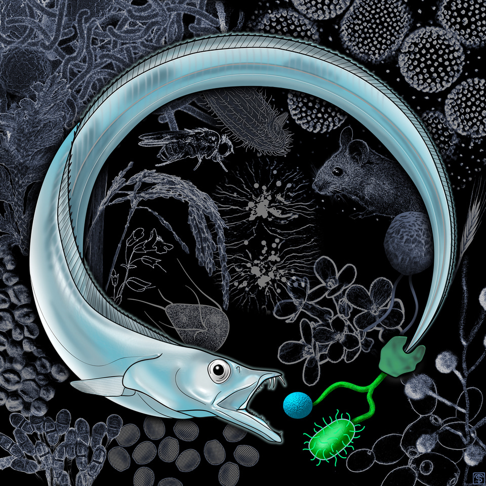 I eat (or I ate), therefore I am.