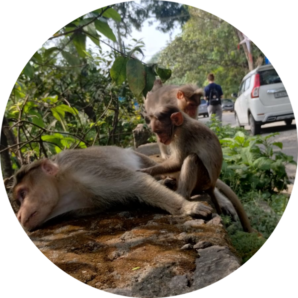 Go to the profile of BHAVYA SUBI