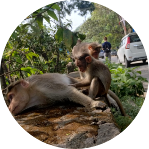 Go to the profile of BHAVYA SUBI