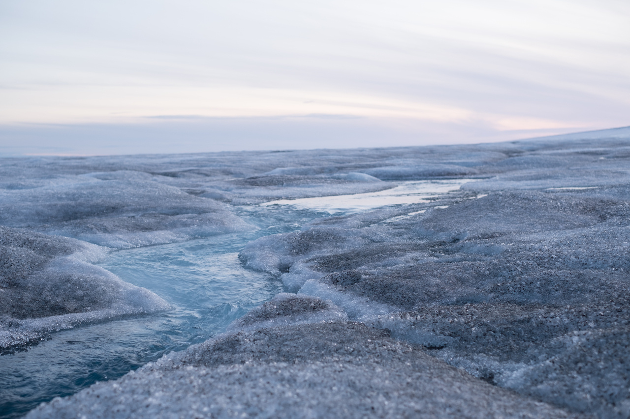 Resilient algae may speed up Greenland ice melt