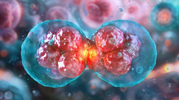 Call for papers: Mitosis and disease