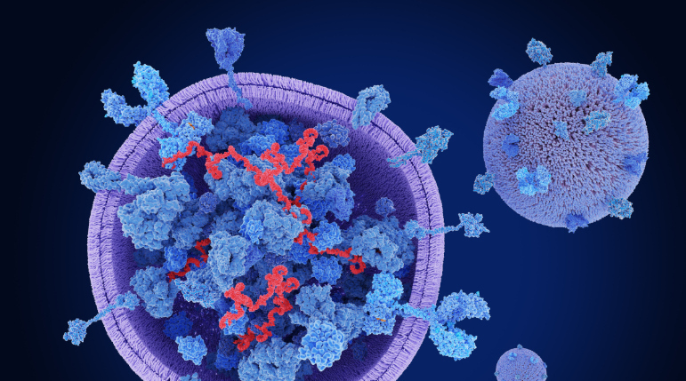 Call for papers: Extracellular vesicles