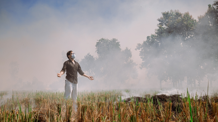 Call for papers: Agricultural greenhouse gas emissions and mitigation