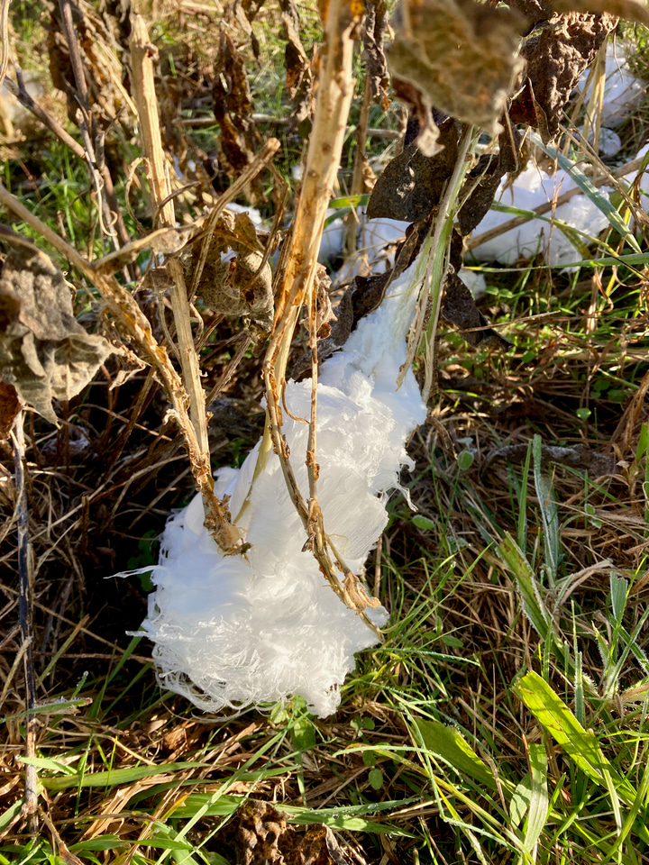 Learning is believing: Education and climate concern